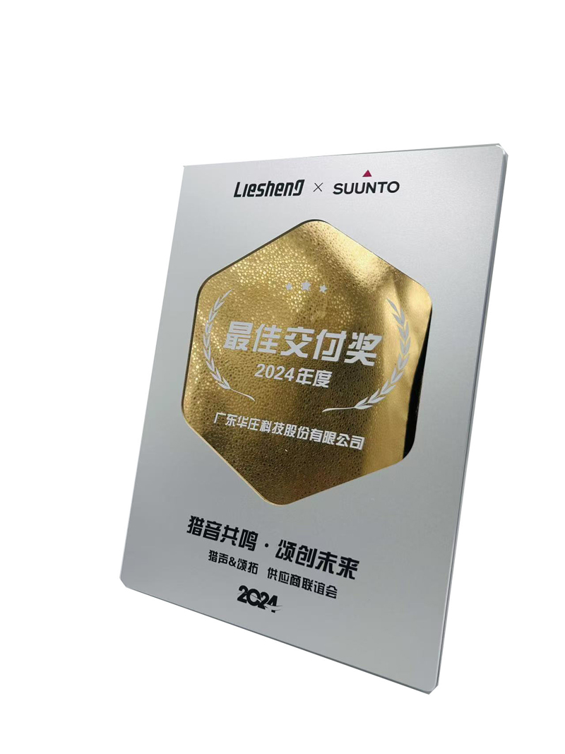 Liesound & Suunto 2024 Best Delivery Award