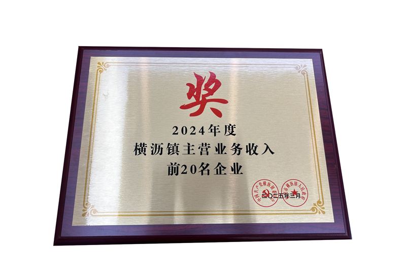 Top 20 Enterprises in Main Business Income in Hengli Town in 2024