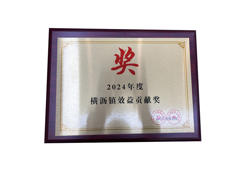 2024 Hengli Town Benefit Contribution Award